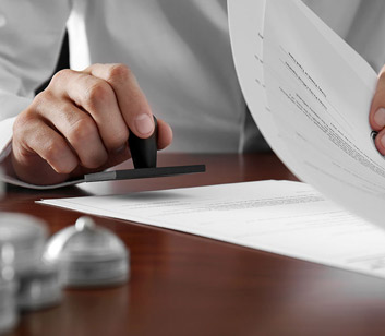 Business License Service